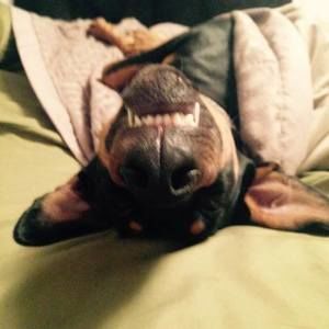 Meet your Posher, Kevin